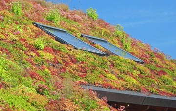Llanycefn living roof systems