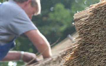 professional Llanycefn thatchers