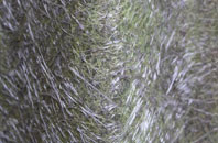 Llanycefn fibreglass roof work